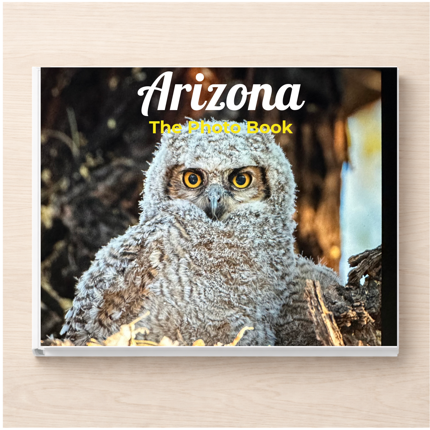 Arizona: The Photo Book
