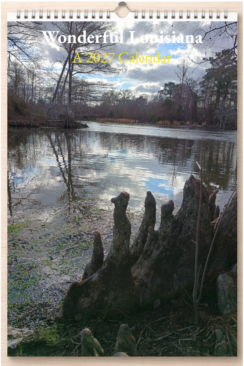 Wonderful Louisiana: A 2027 Calendar