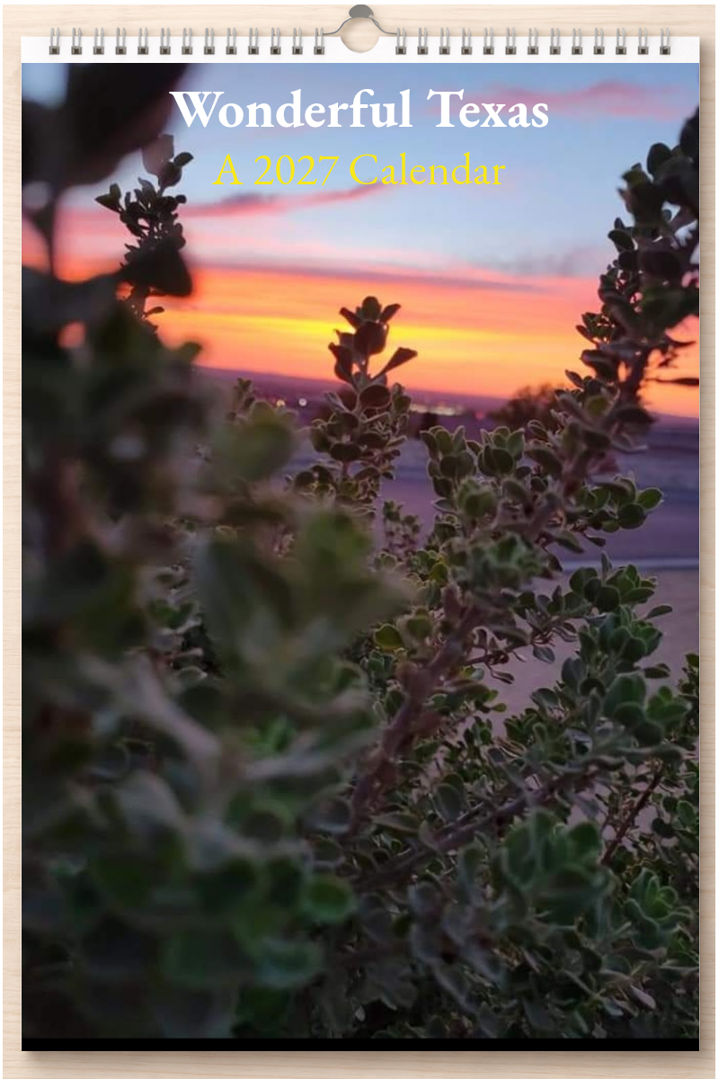 Wonderful Texas: A 2027 Calendar