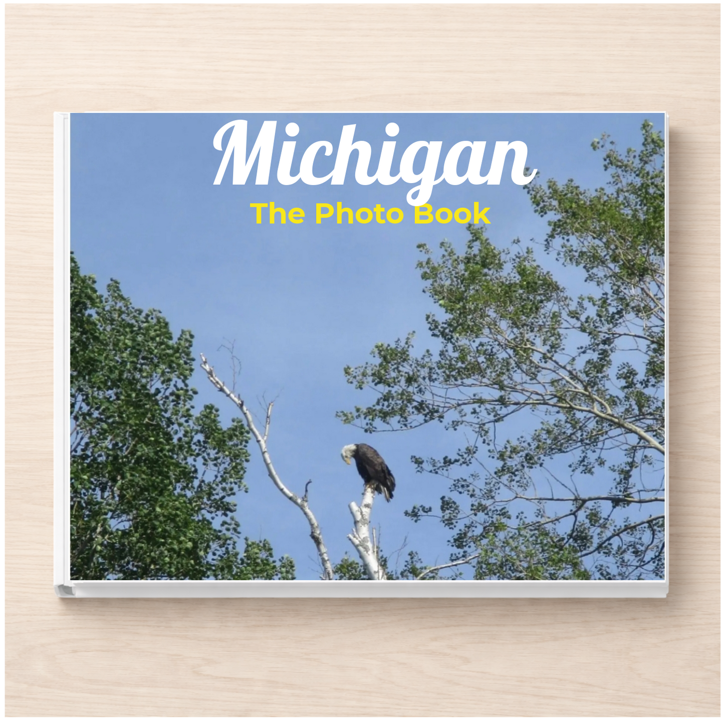 Michigan: The Photo Book