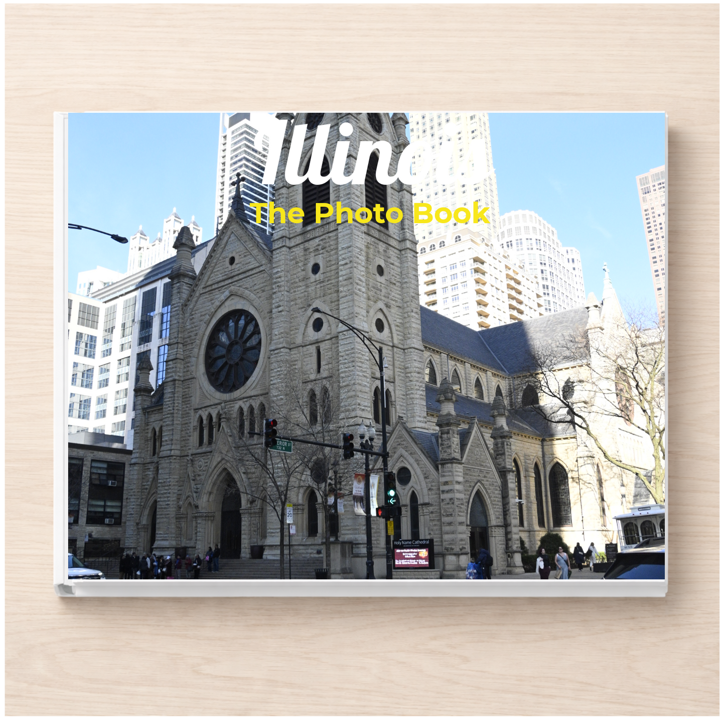 Illinois: The Photo Book