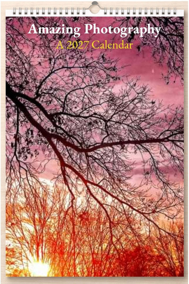 Amazing Photography: A 2027 Calendar
