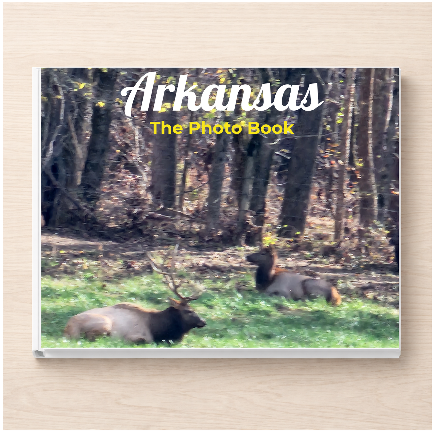 Arkansas: The Photo Book