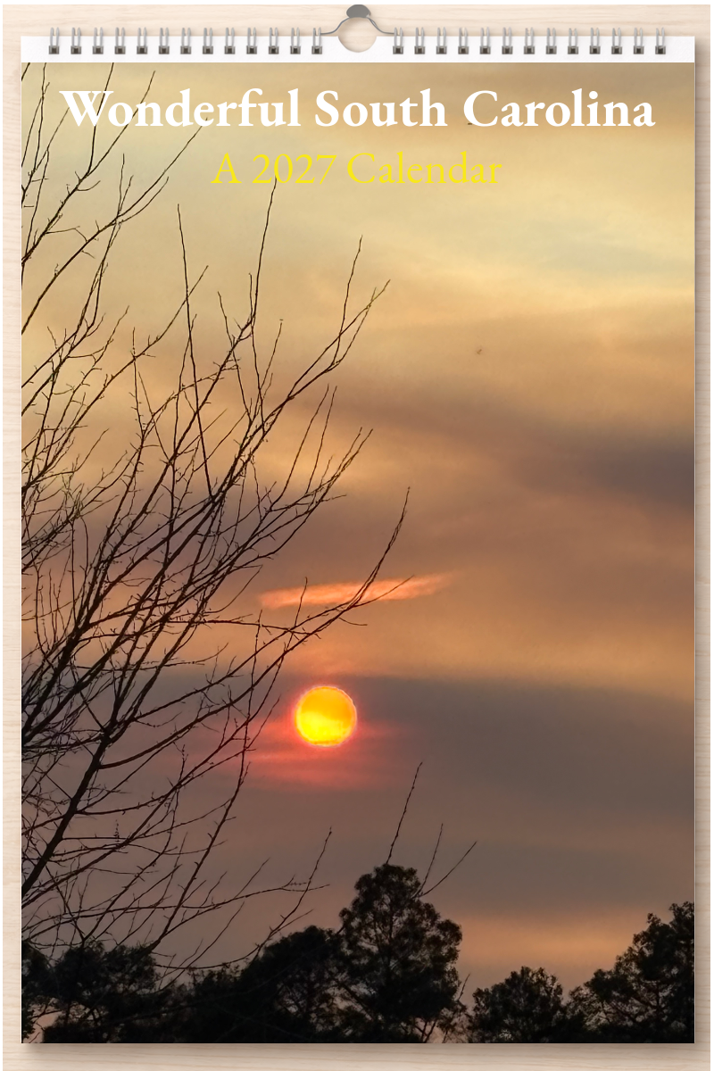 Wonderful South Carolina: A 2027 Calendar