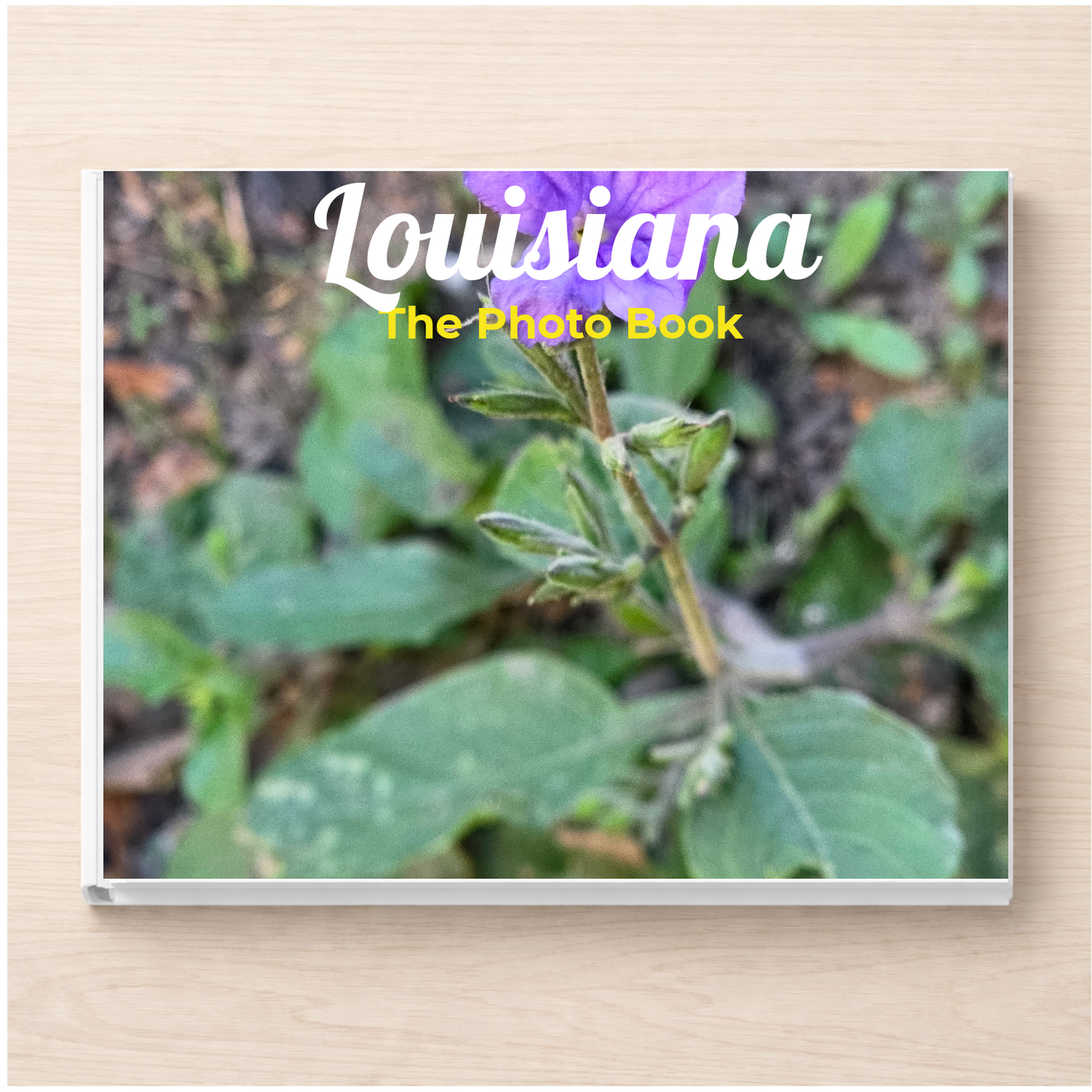 Louisiana: The Photo Book