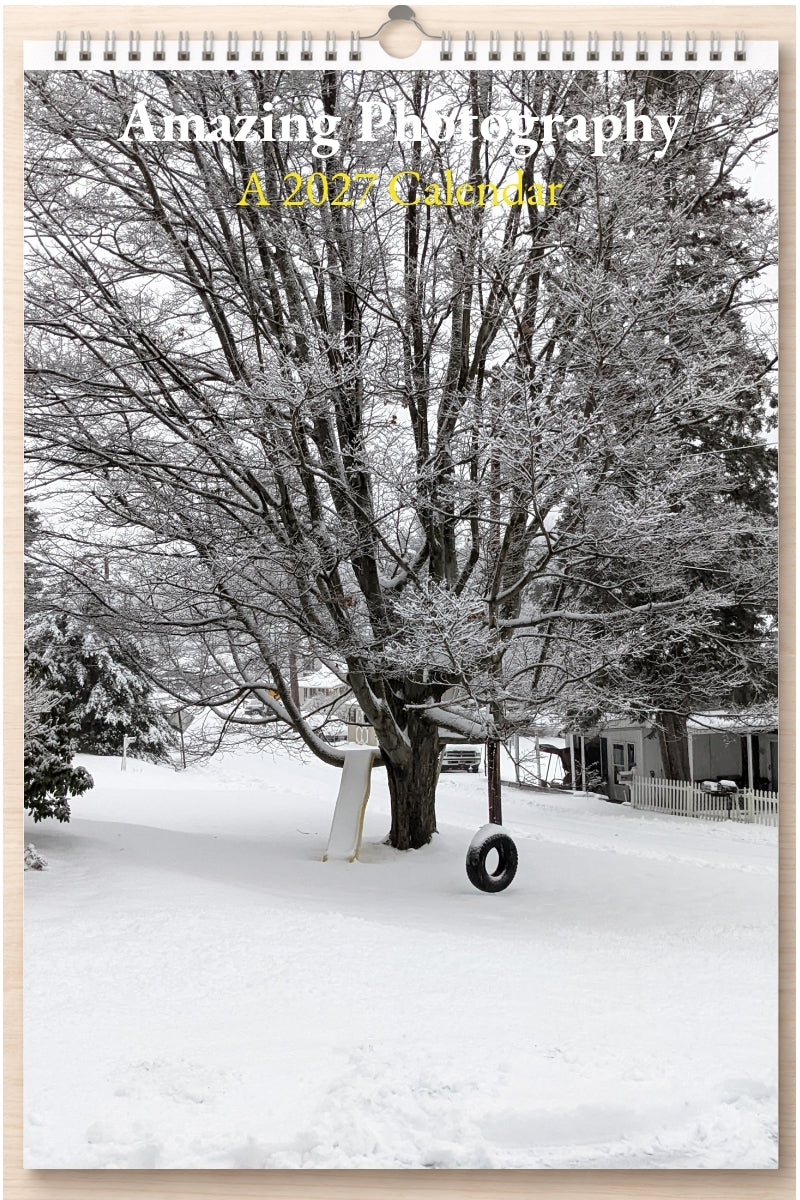 Amazing Photography: A 2027 Calendar