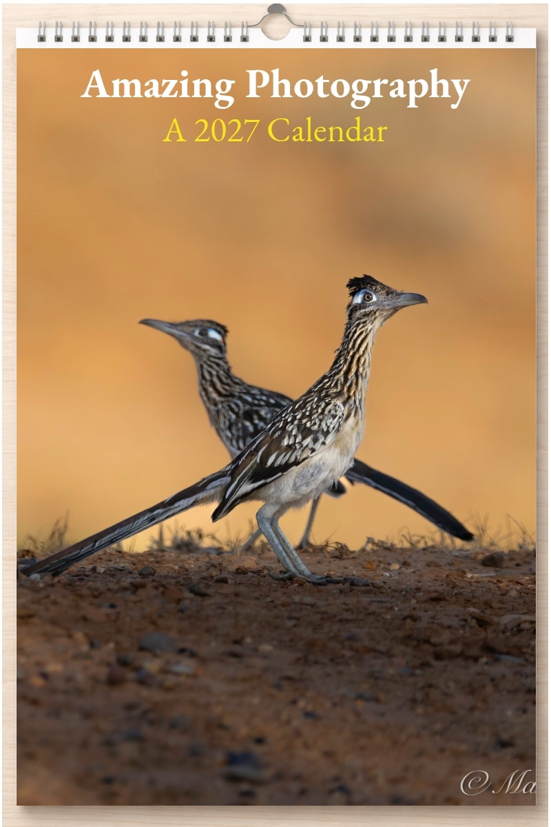 Amazing Photography: A 2027 Calendar