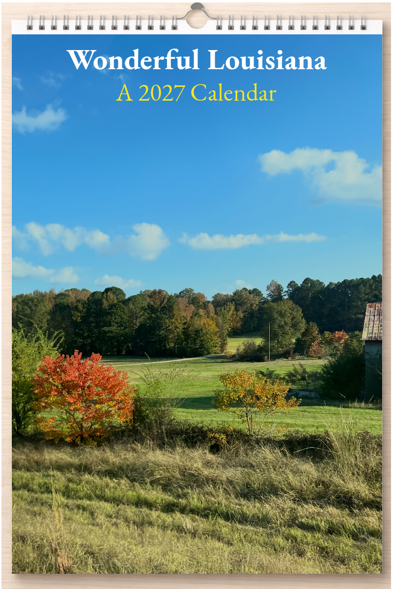 Wonderful Louisiana: A 2027 Calendar