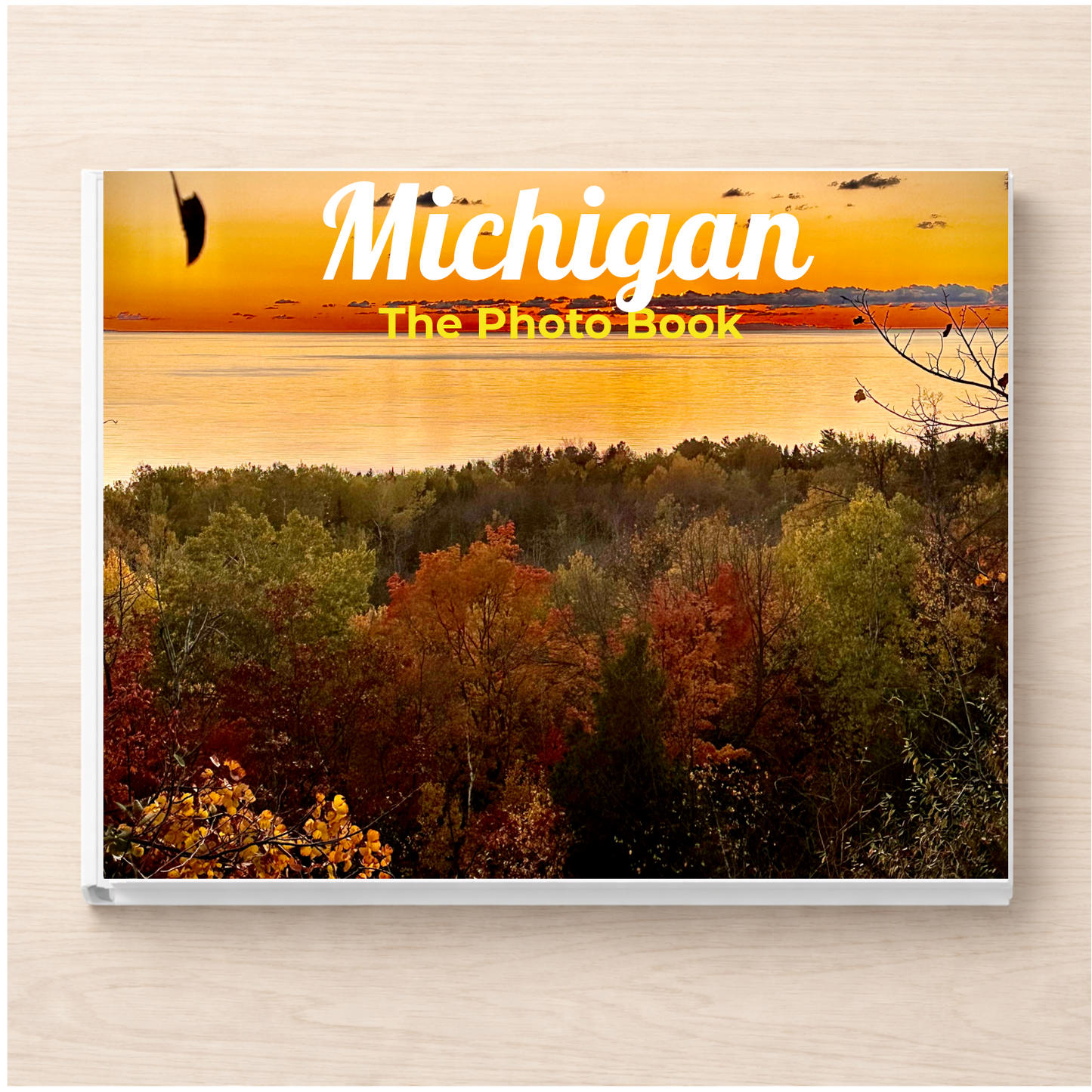 Michigan: The Photo Book