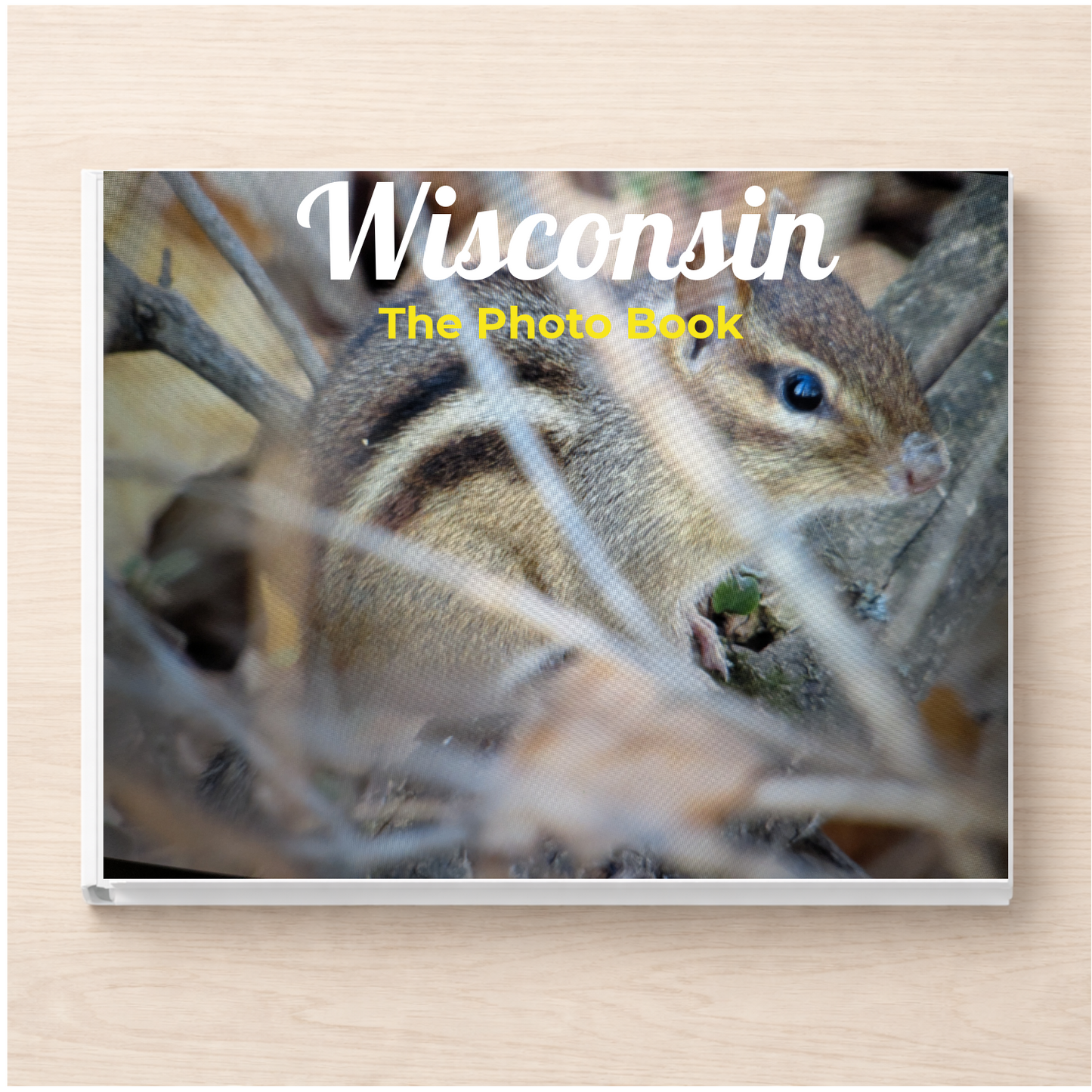 Wisconsin: The Photo Book