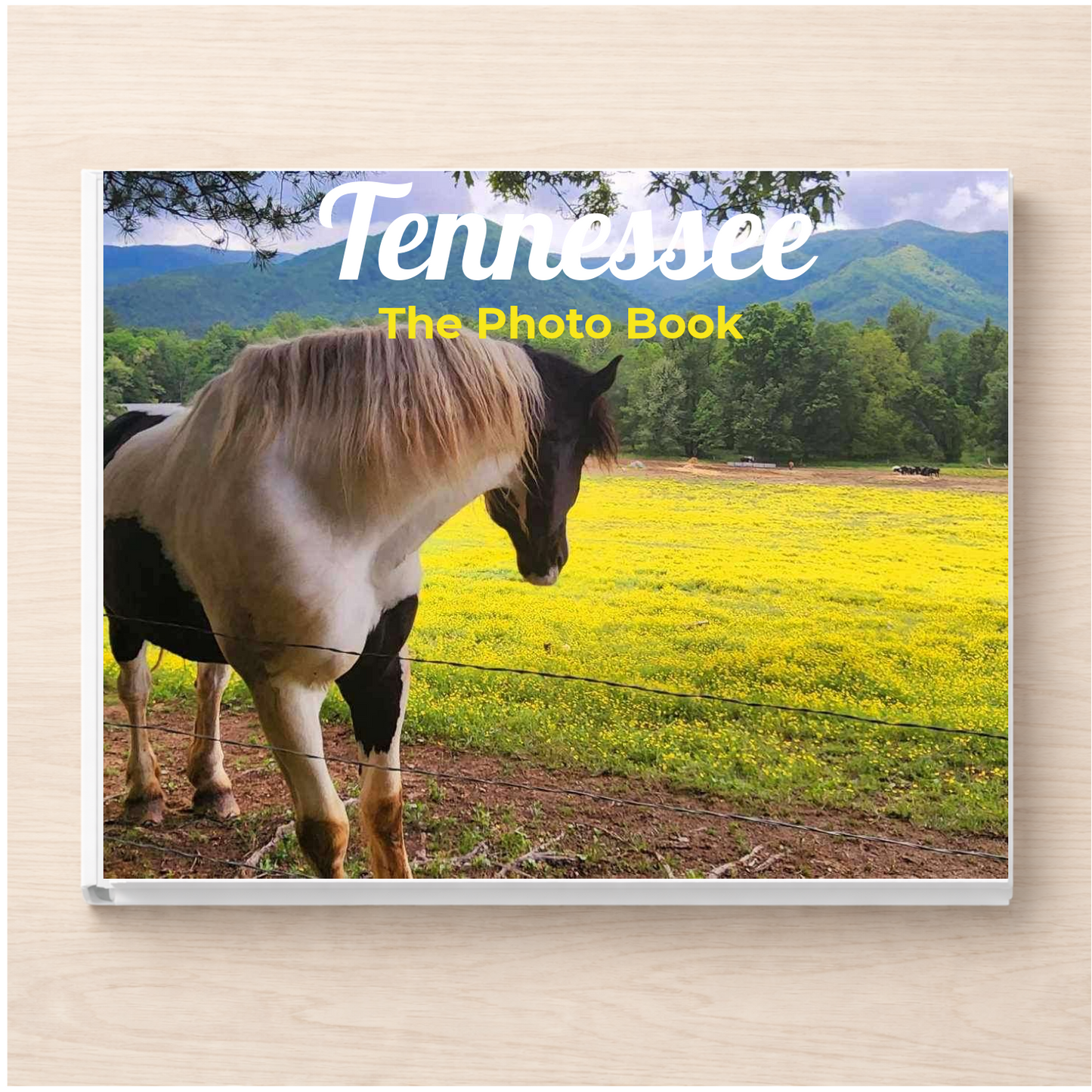 Tennessee: The Photo Book