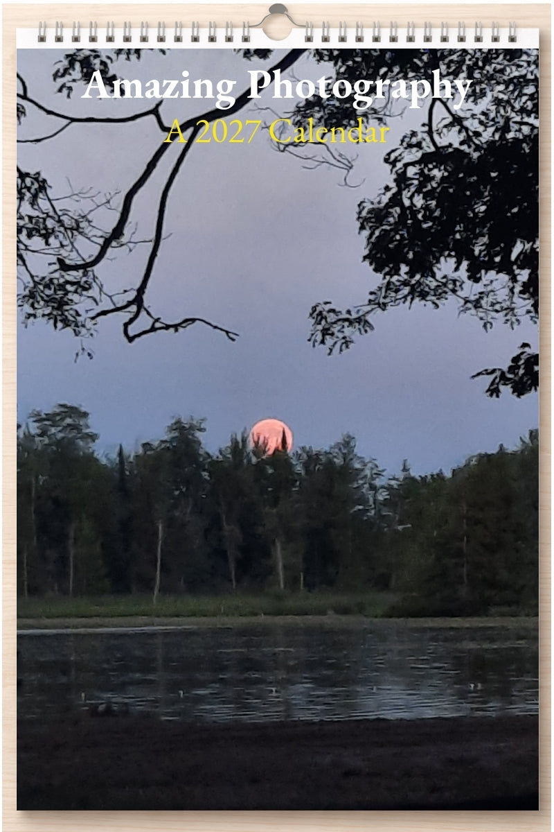Amazing Photography: A 2027 Calendar
