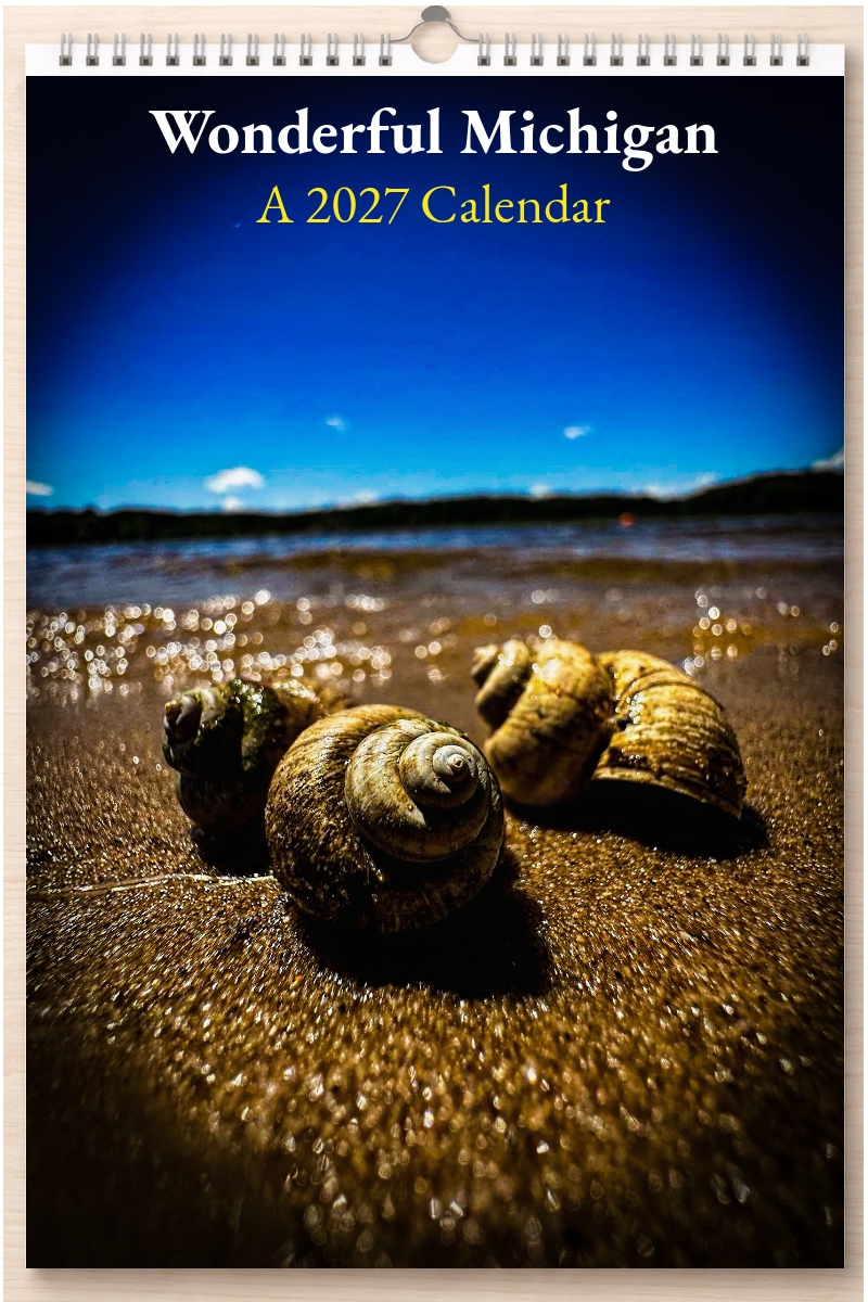 Wonderful Michigan: A 2027 Calendar