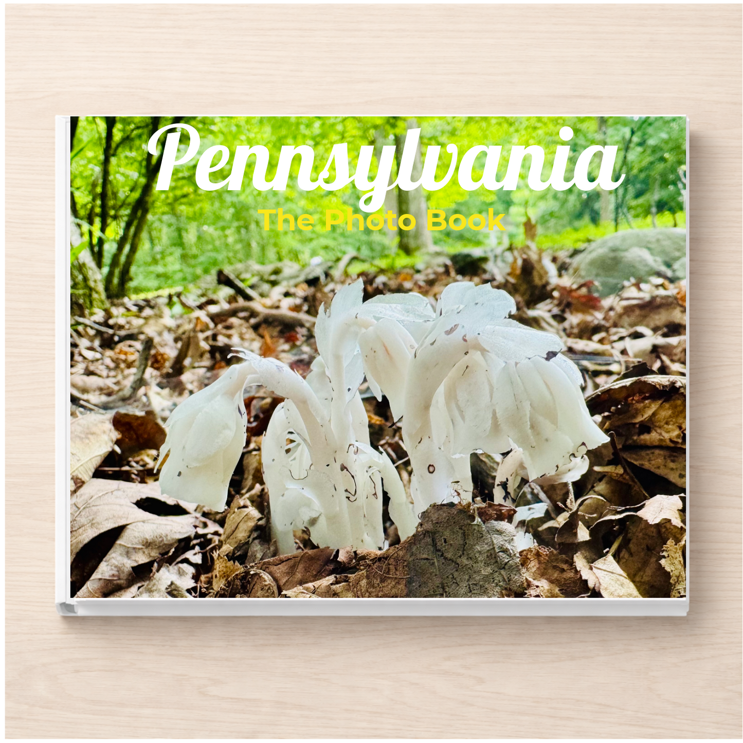 Pennsylvania: The Photo Book
