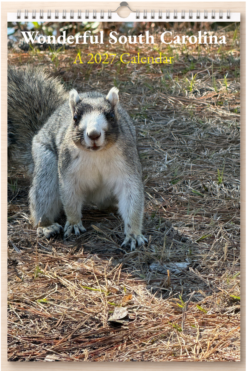 Wonderful South Carolina: A 2027 Calendar