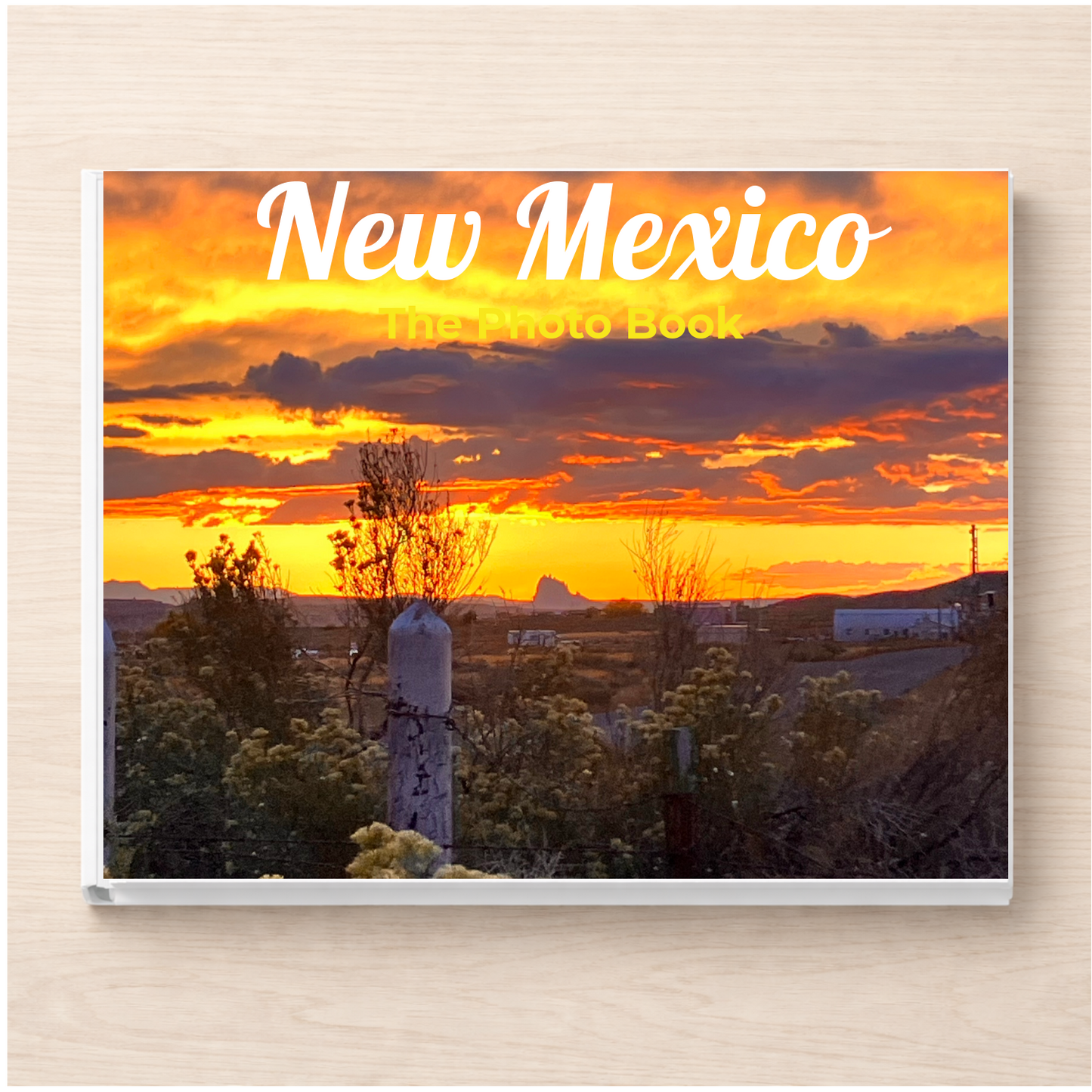 New Mexico: The Photo Book