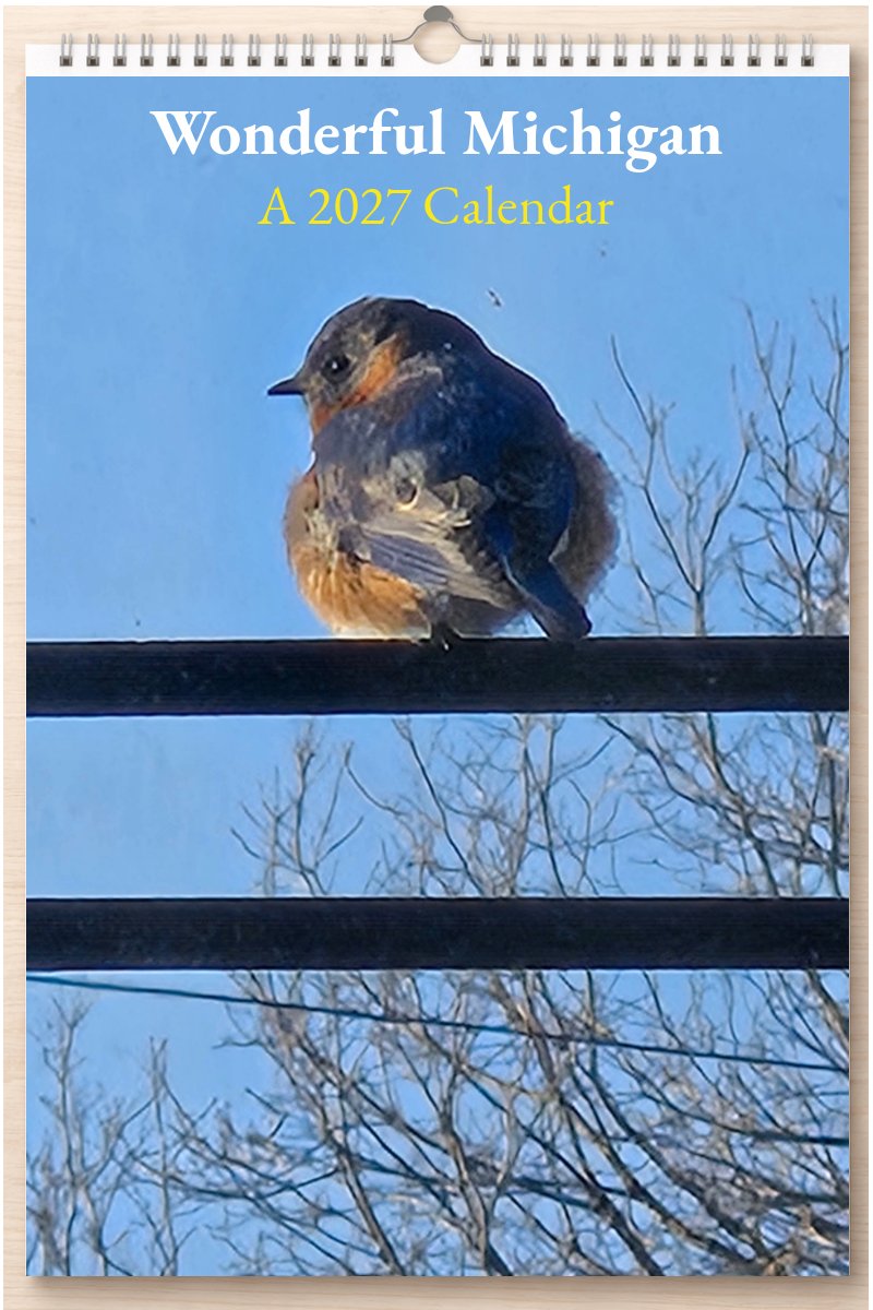 Wonderful Michigan: A 2027 Calendar