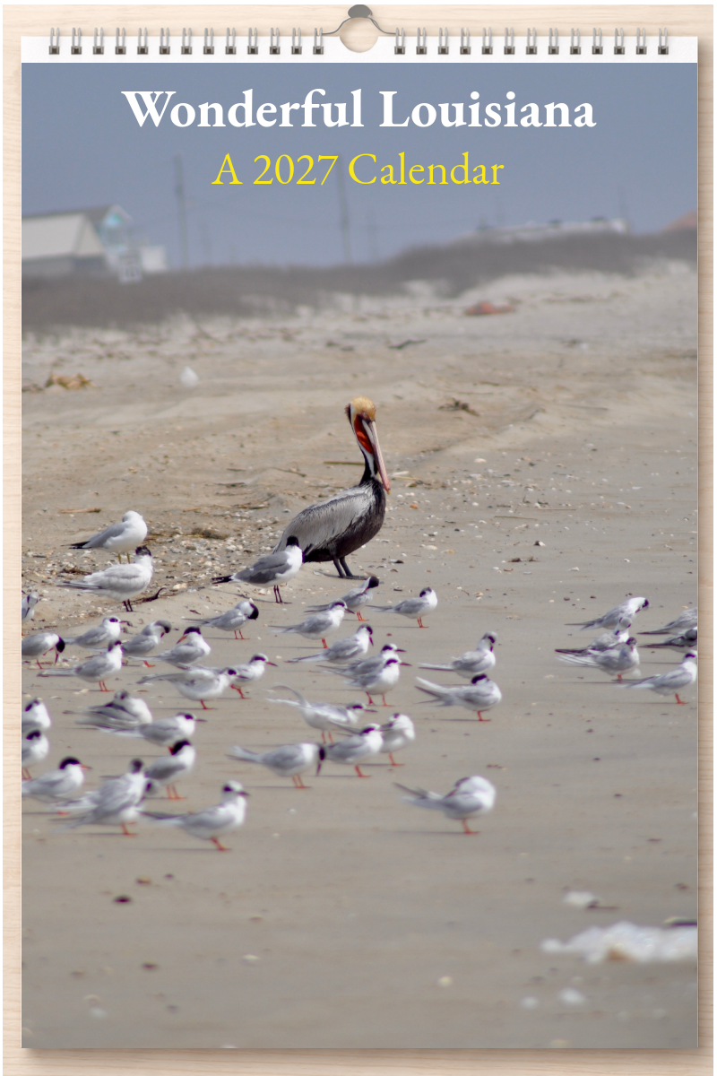 Wonderful Louisiana: A 2027 Calendar