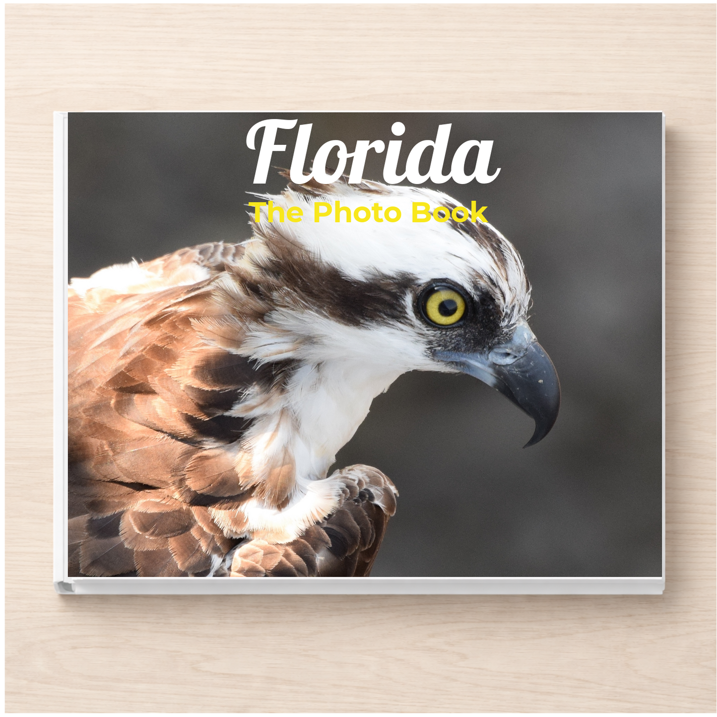 Florida: The Photo Book