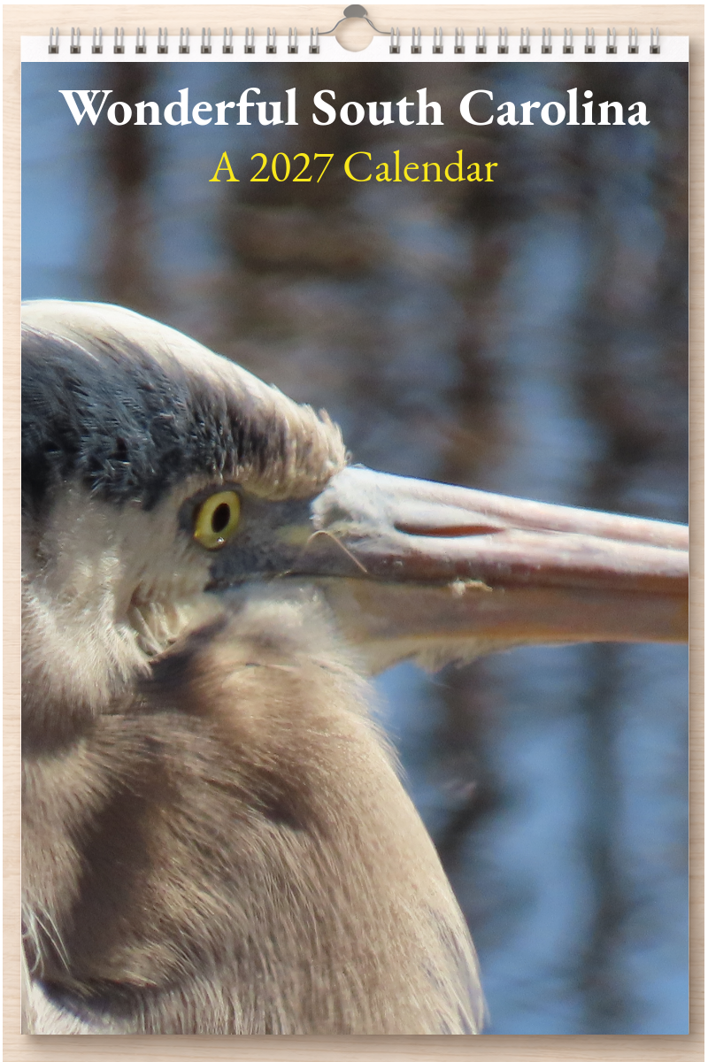 Wonderful South Carolina: A 2027 Calendar