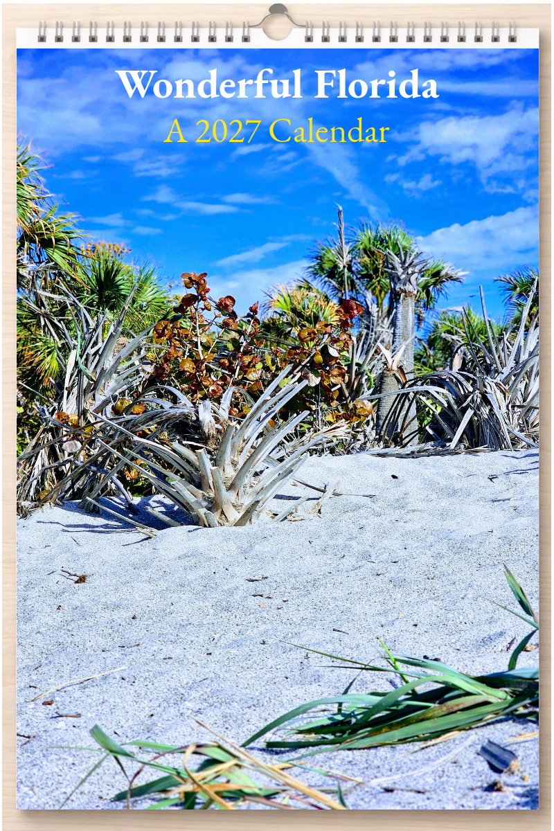 Wonderful Florida: A 2027 Calendar