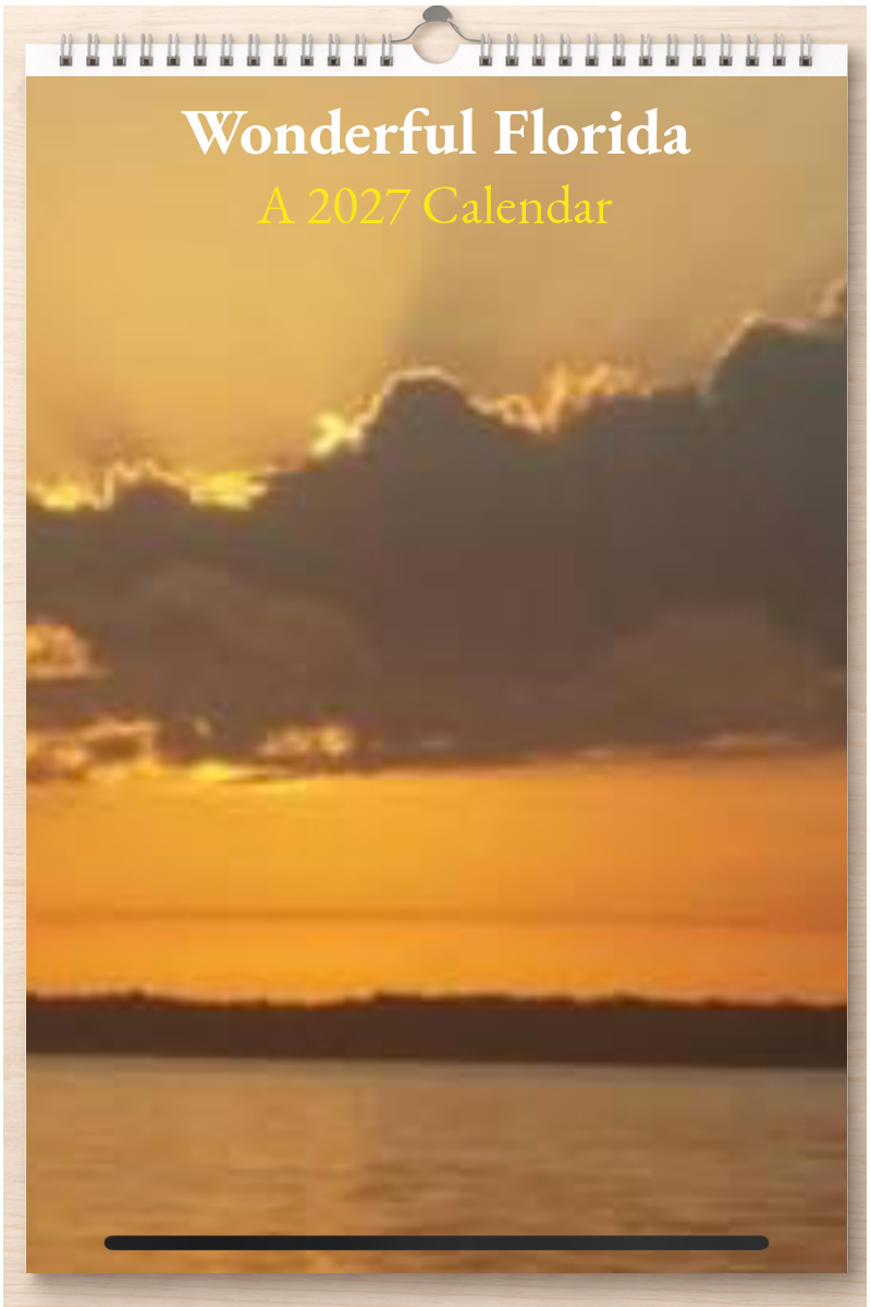 Wonderful Florida: A 2027 Calendar