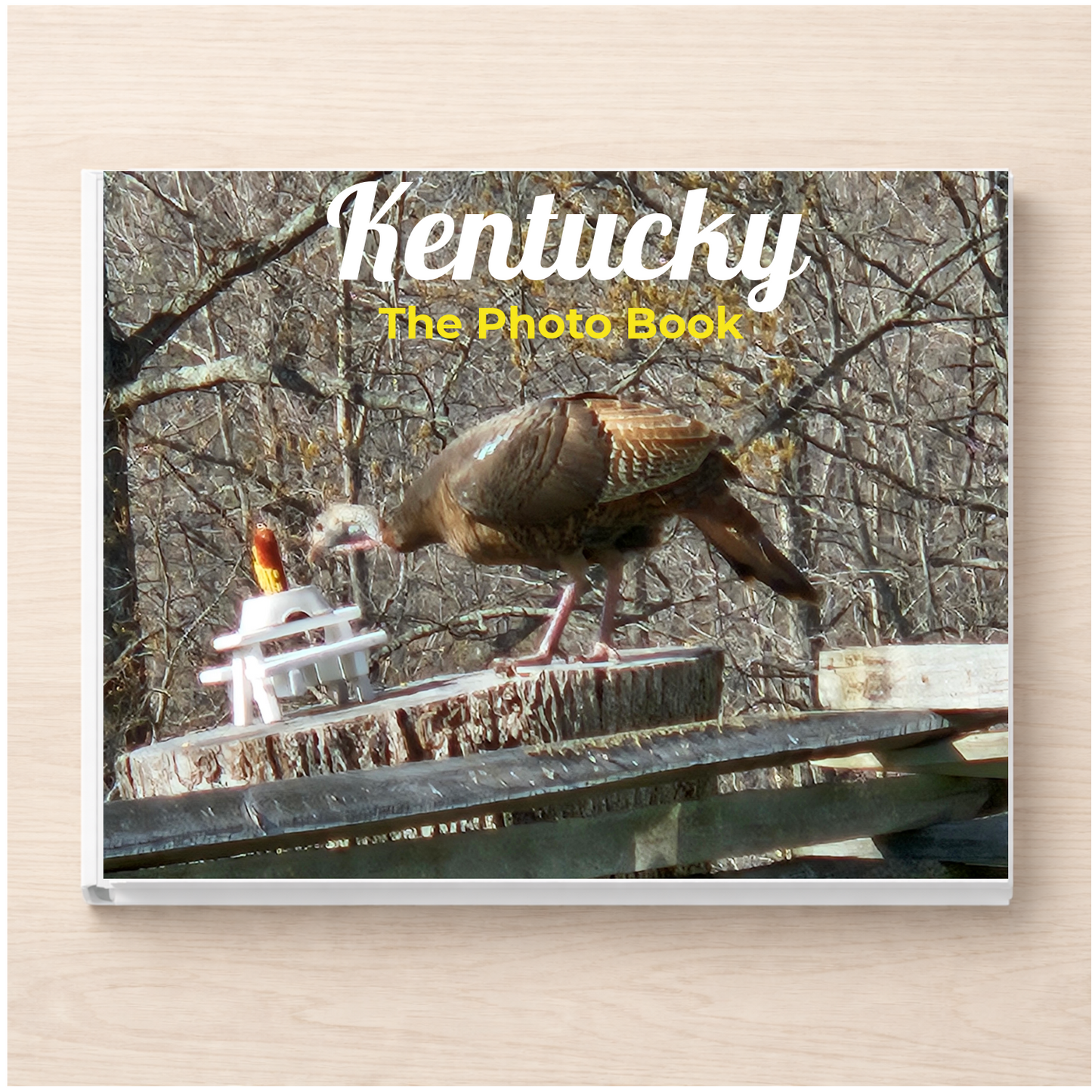 Kentucky: The Photo Book