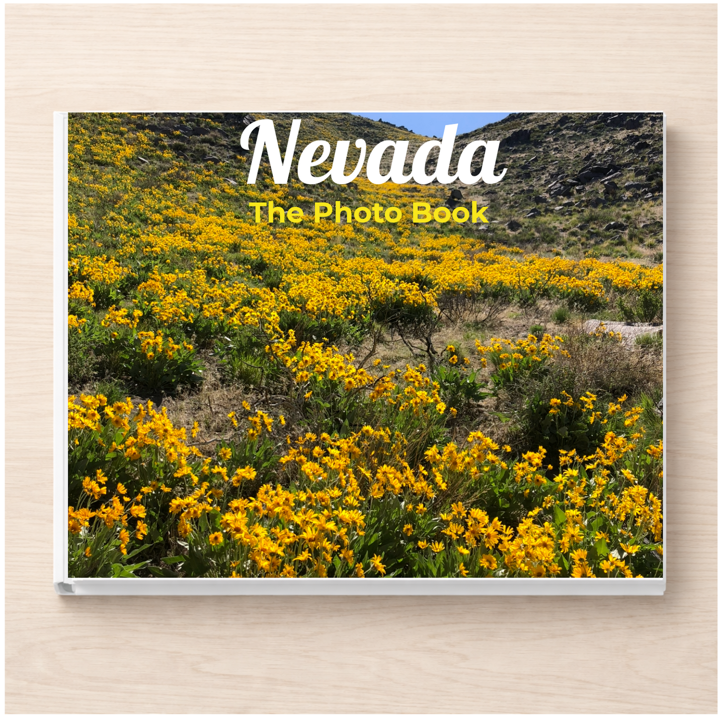 Nevada: The Photo Book