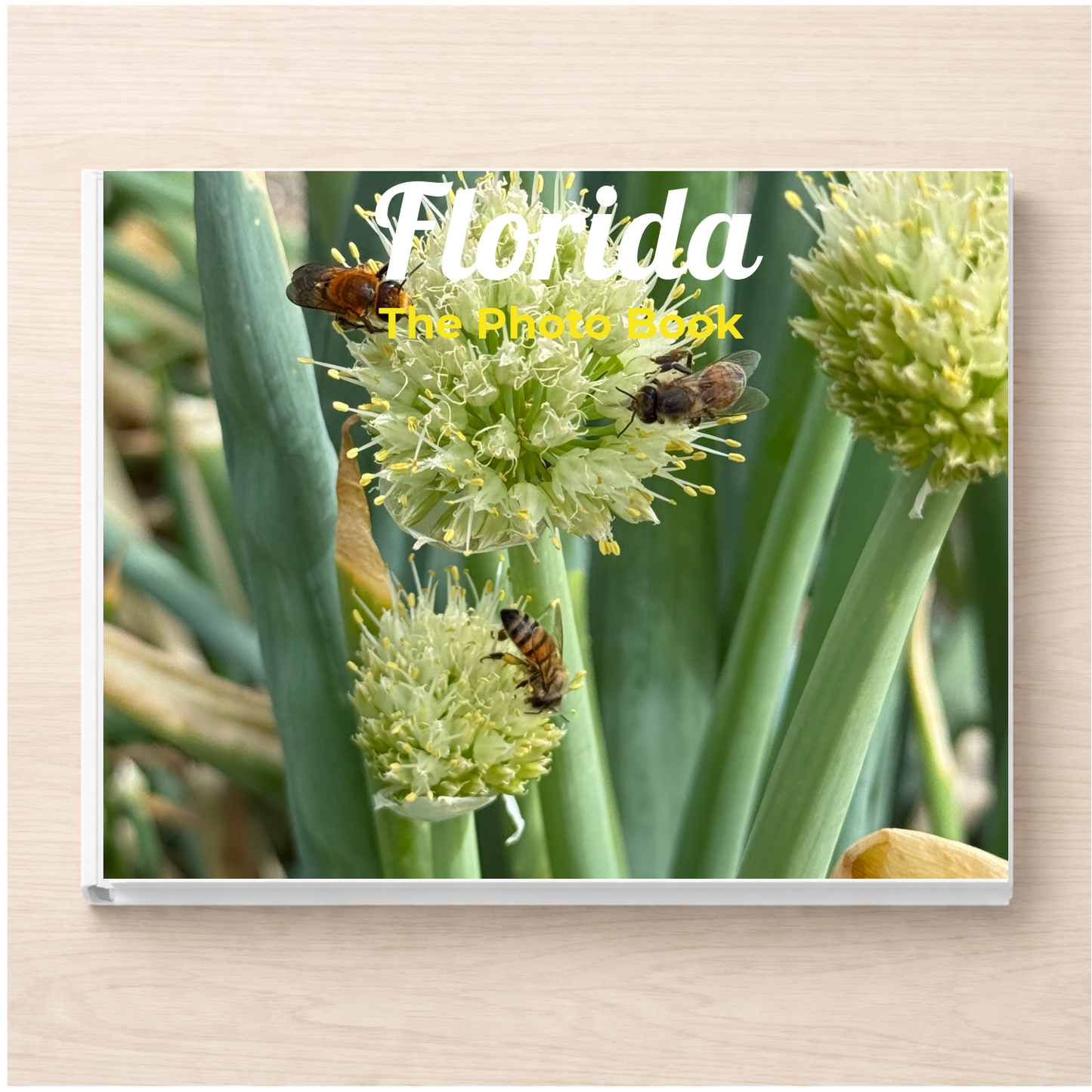 Florida: The Photo Book