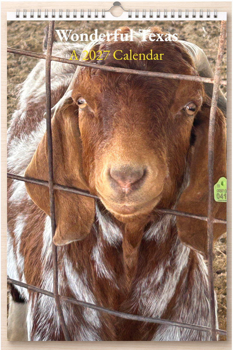 Wonderful Texas: A 2027 Calendar