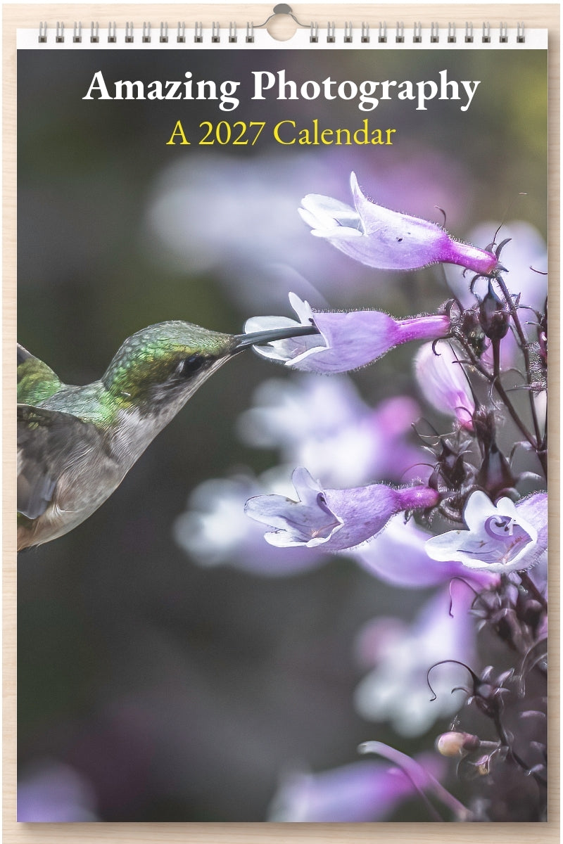 Amazing Photography: A 2027 Calendar