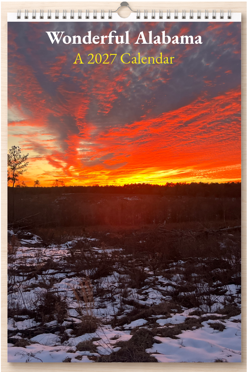 Wonderful Alabama: A 2027 Calendar
