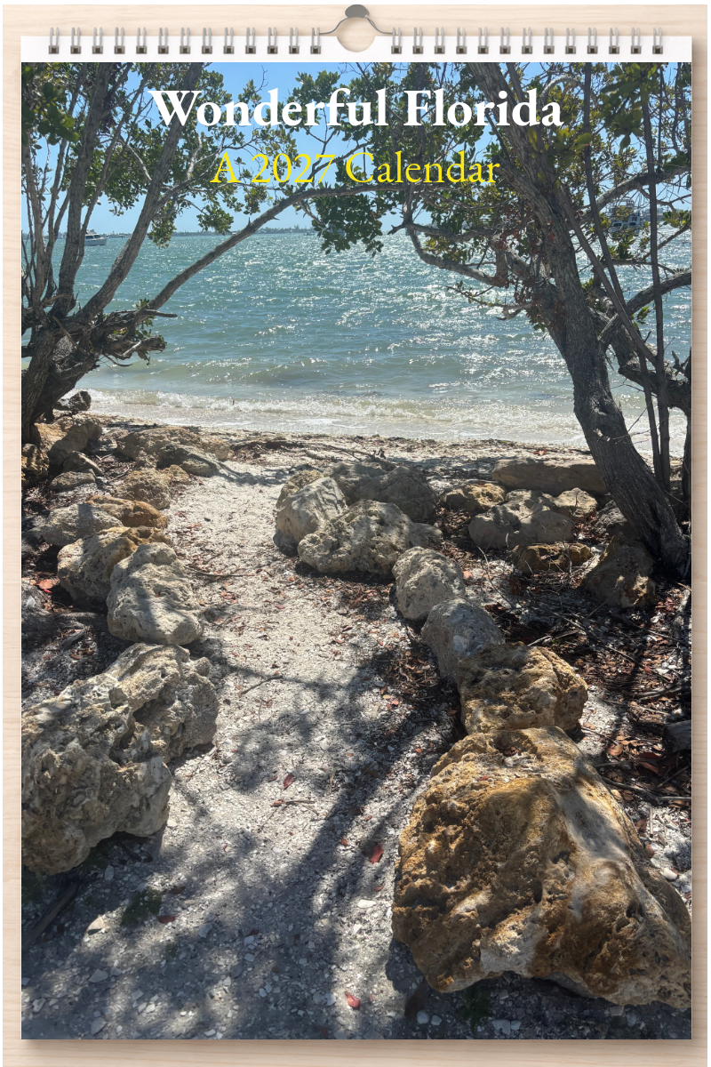 Wonderful Florida: A 2027 Calendar