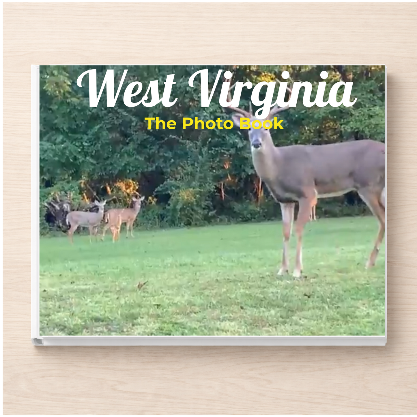West Virginia: The Photo Book