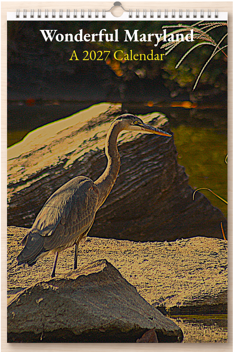 Wonderful Maryland: A 2027 Calendar