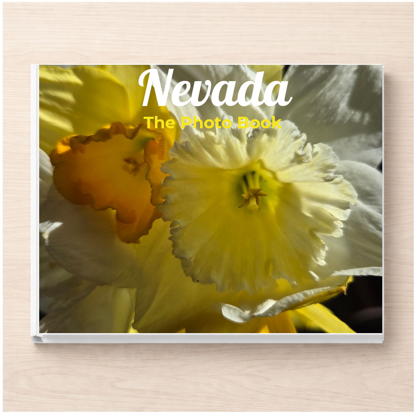 Nevada: The Photo Book
