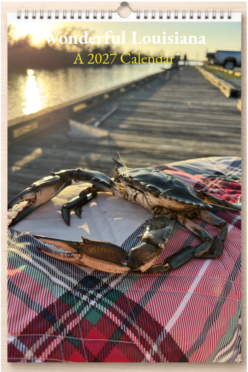 Wonderful Louisiana: A 2027 Calendar