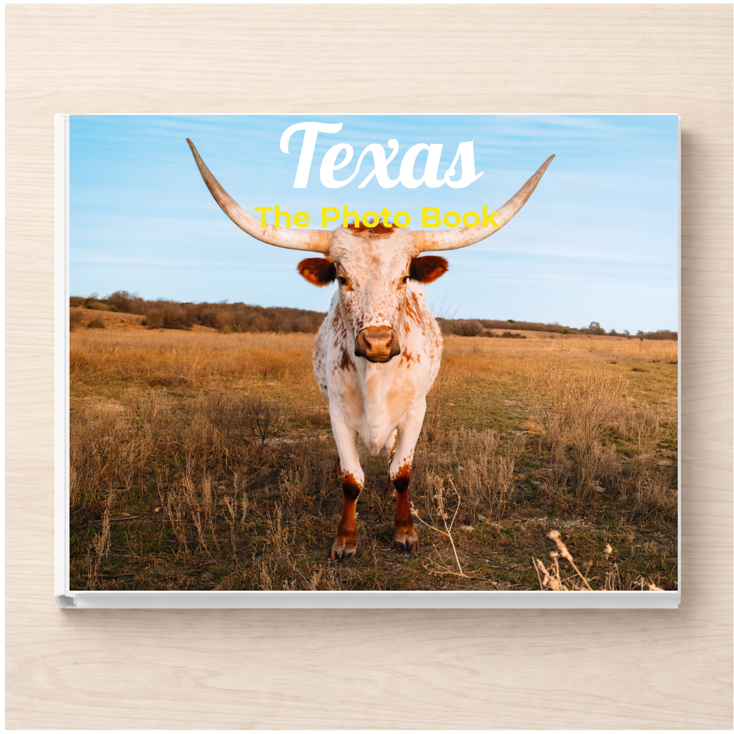 Texas: The Photo Book