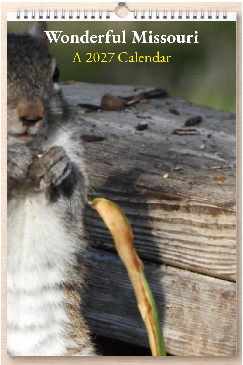 Wonderful Missouri: A 2027 Calendar