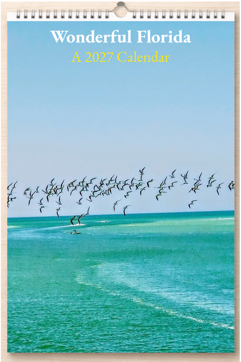 Wonderful Florida: A 2027 Calendar