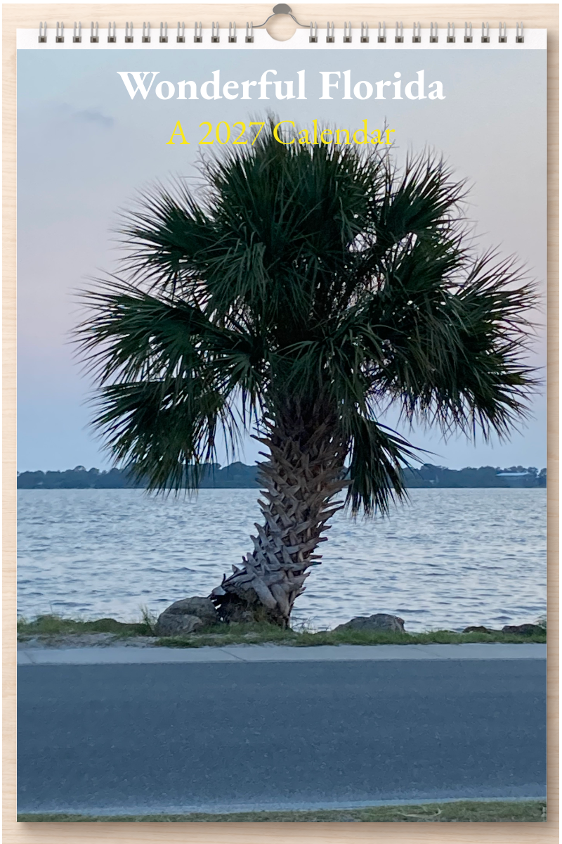 Wonderful Florida: A 2027 Calendar