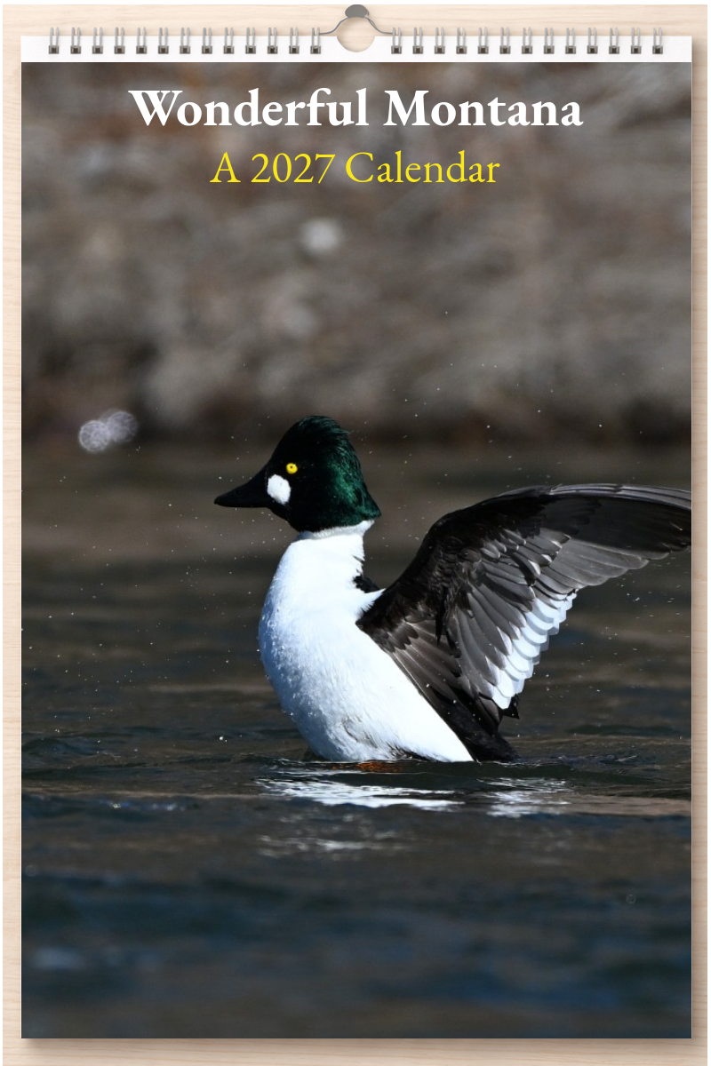 Wonderful Montana: A 2027 Calendar