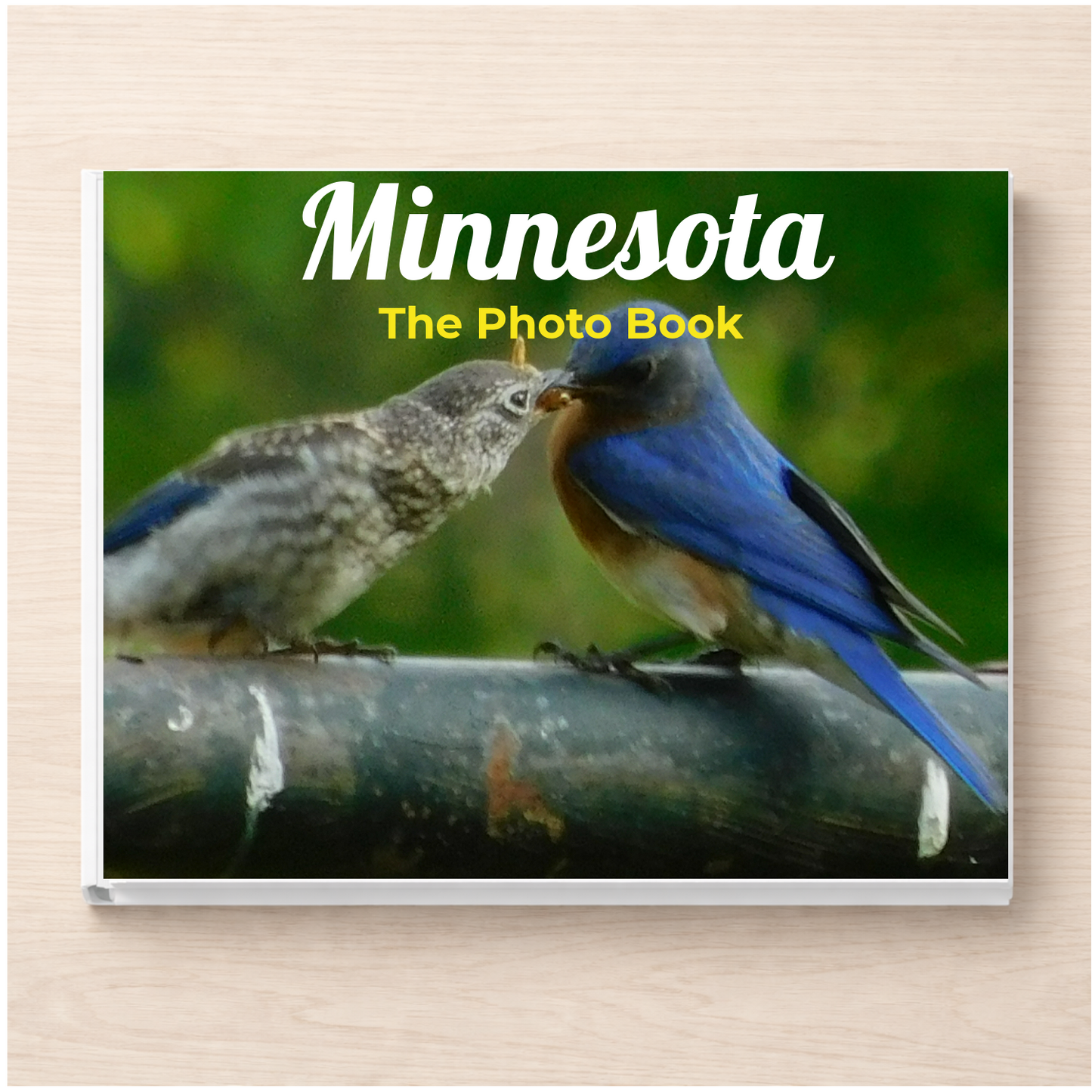 Minnesota: The Photo Book