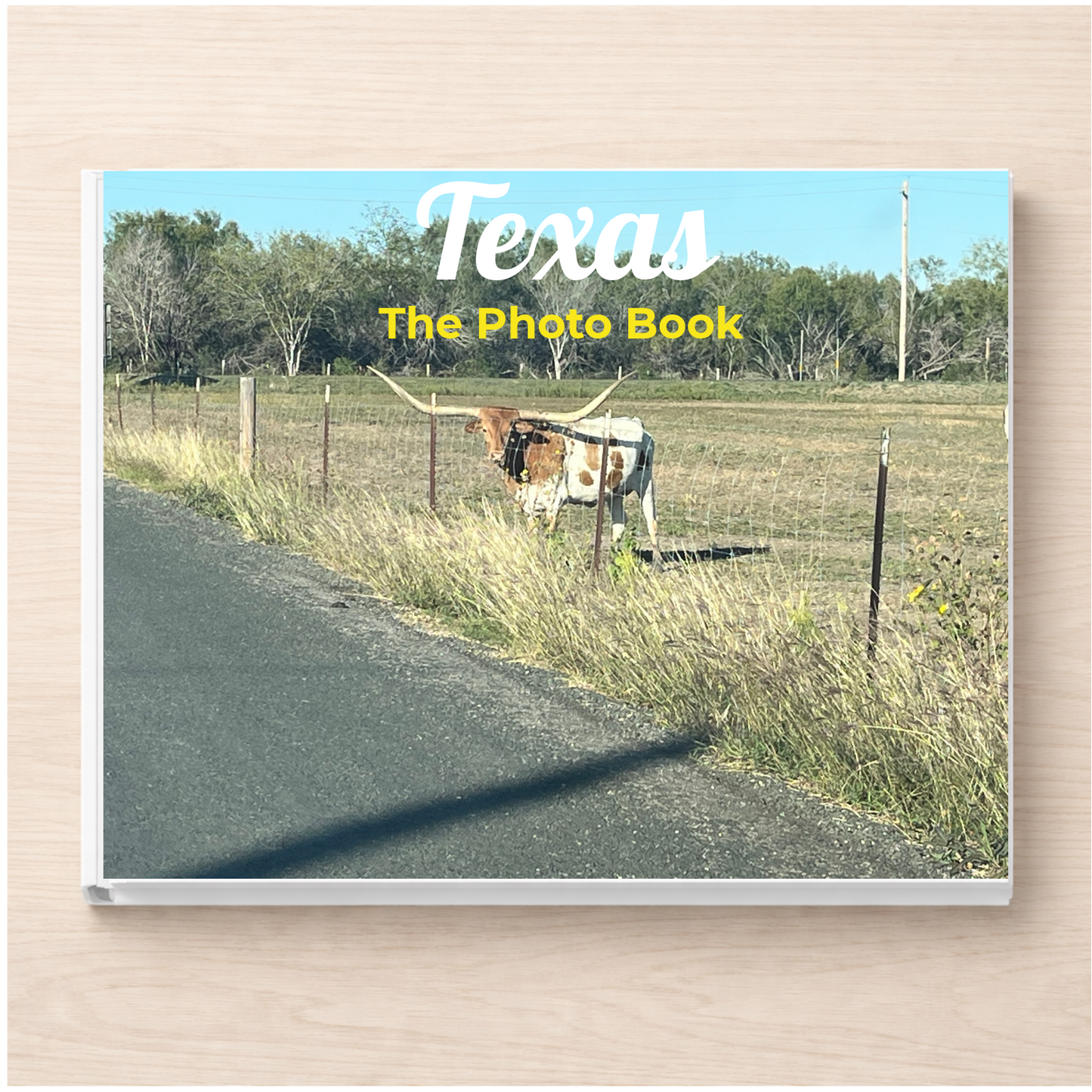 Texas: The Photo Book