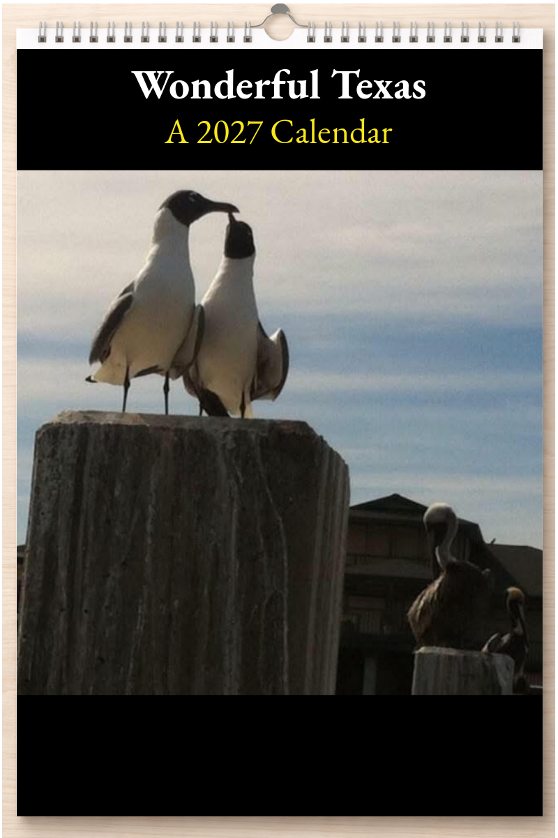 Wonderful Texas: A 2027 Calendar