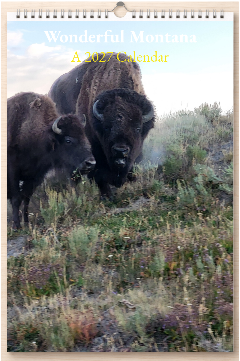 Wonderful Montana: A 2027 Calendar