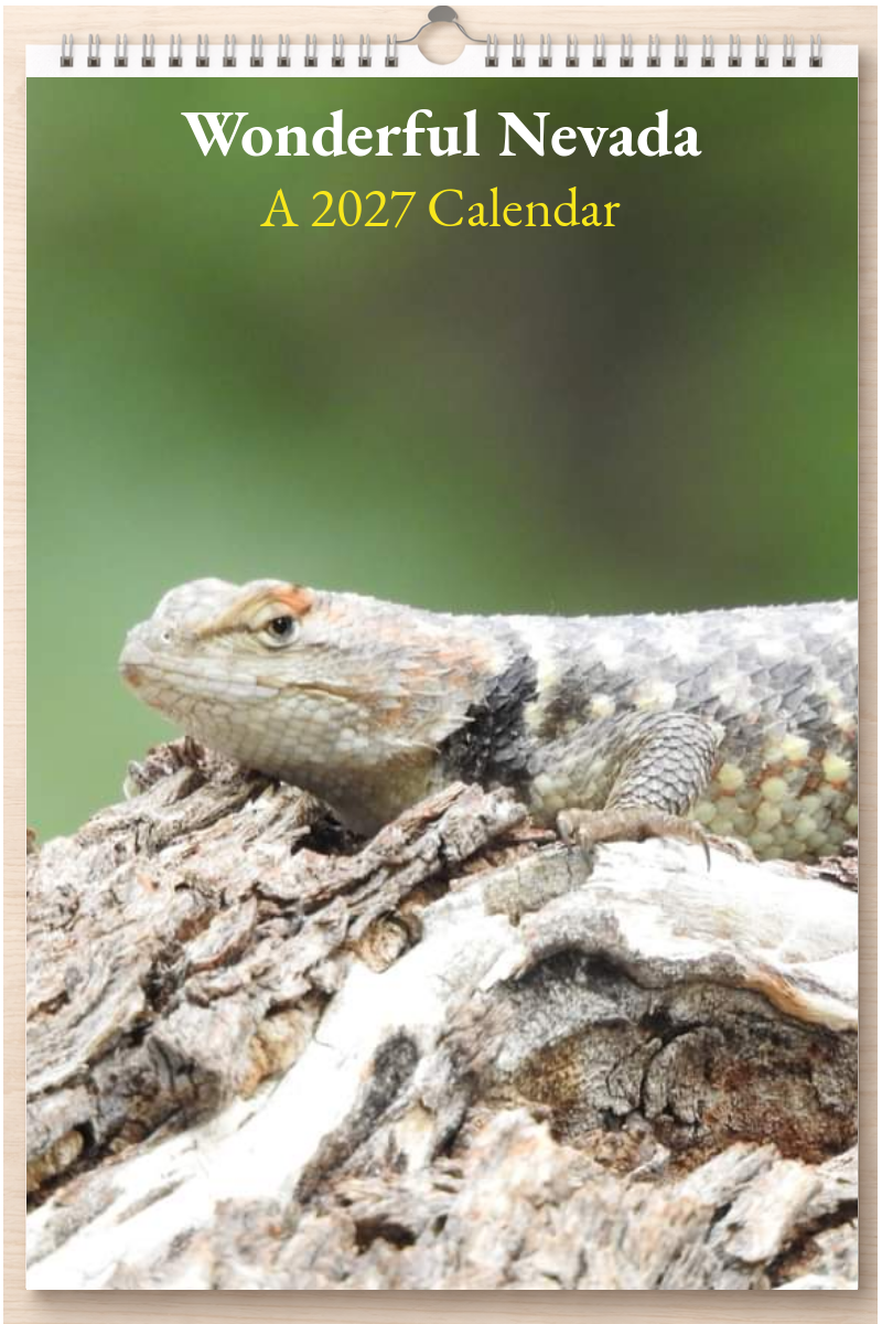 Wonderful Nevada: A 2027 Calendar