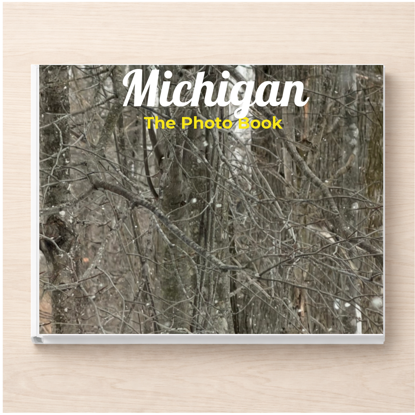 Michigan: The Photo Book