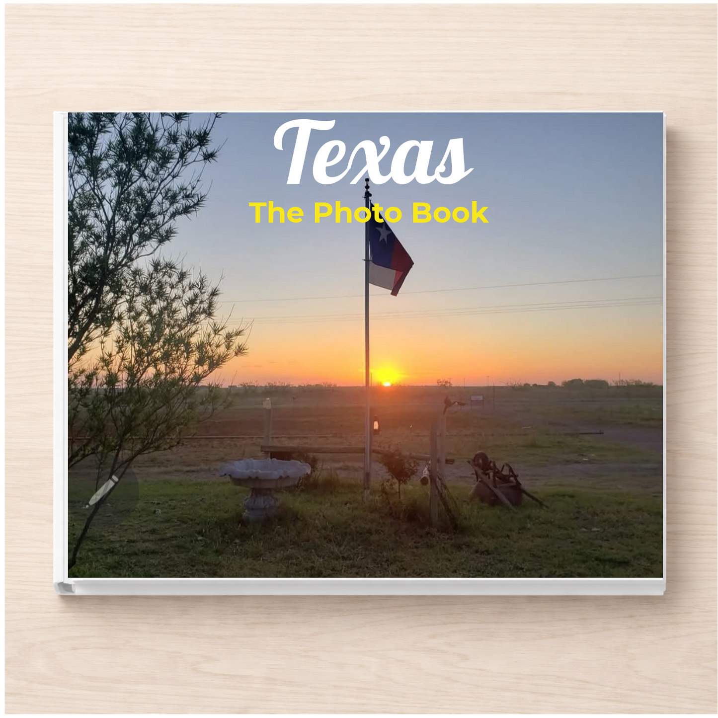 Texas: The Photo Book