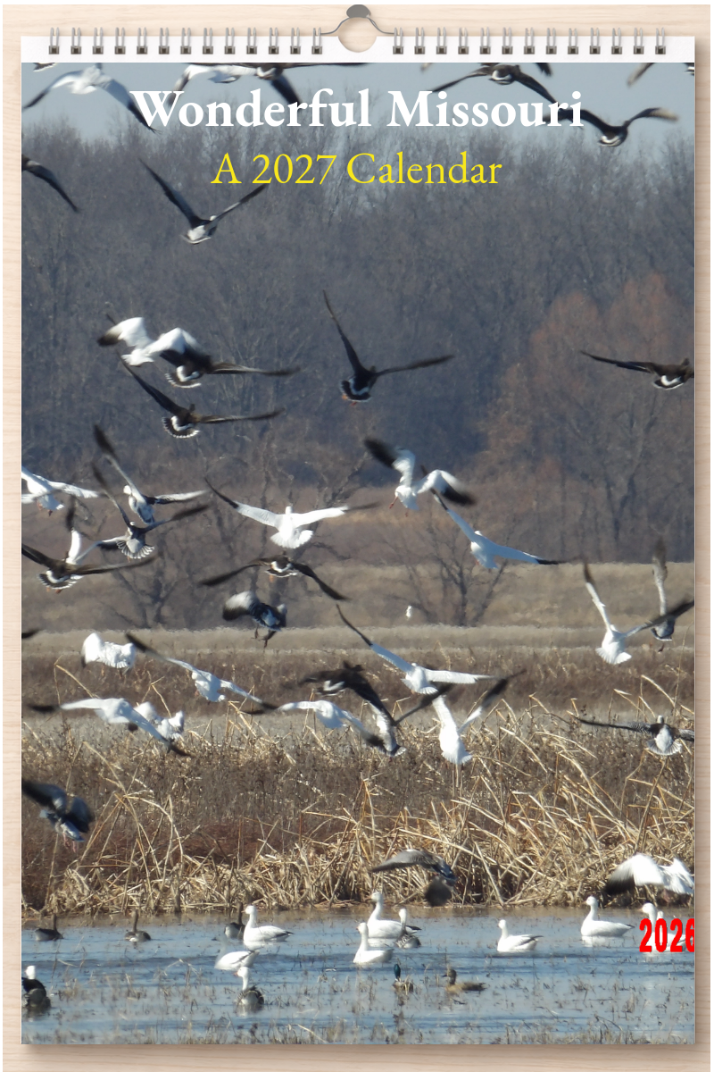 Wonderful Missouri: A 2027 Calendar
